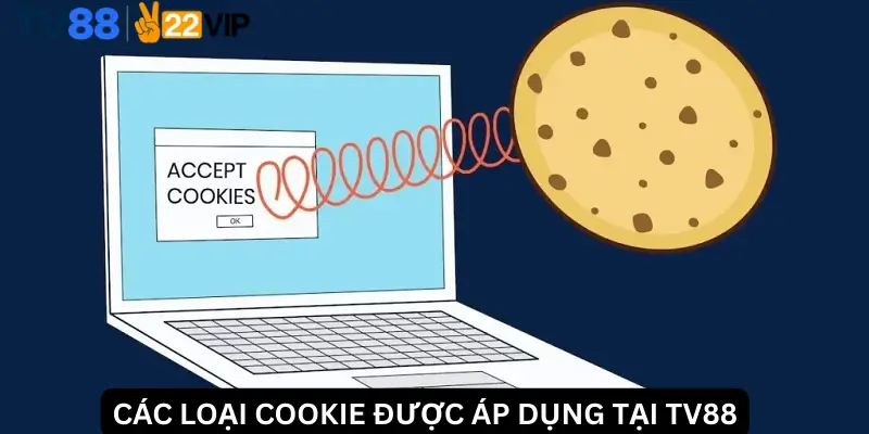 Các Loại Cookie Được Áp Dụng Tại TV88