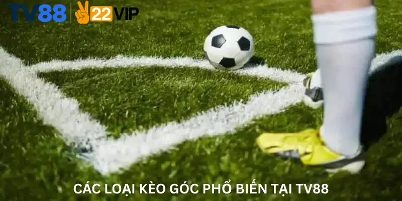 Các Loại Kèo Góc Phổ Biến Tại TV88