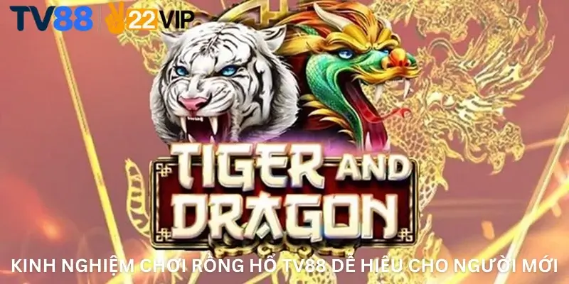 Kinh nghiệm chơi Rồng Hổ TV88 dễ hiểu cho người mới