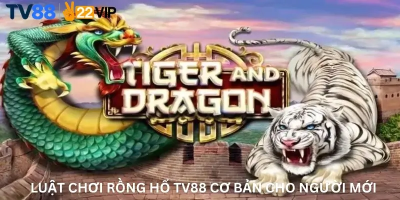 Luật chơi Rồng Hổ TV88 cơ bản cho người mới