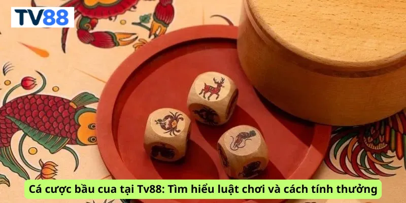 Cá cược bầu cua tại Tv88: Tìm hiểu luật chơi và cách tính thưởng