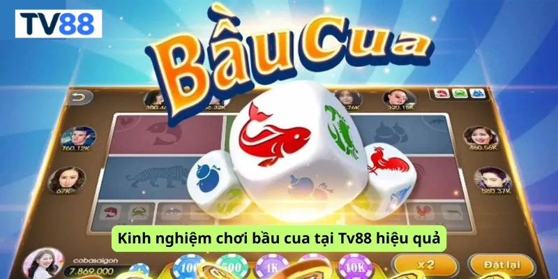 Kinh nghiệm chơi bầu cua tại Tv88 hiệu quả