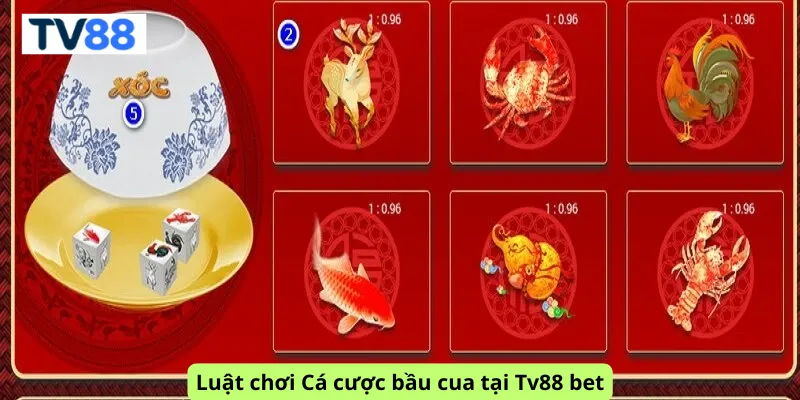 Luật chơi Cá cược bầu cua tại Tv88 bet