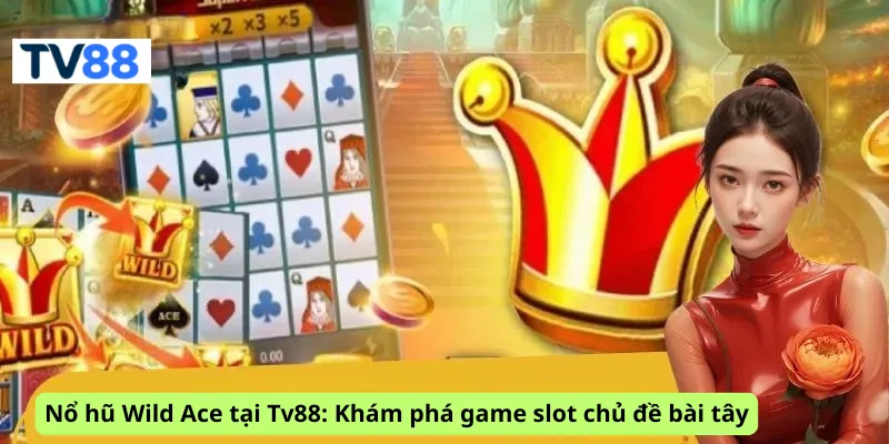 Nổ hũ Wild Ace tại Tv88: Khám phá game slot chủ đề bài tây